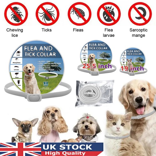 Adjustable anti flea - adjustable, and