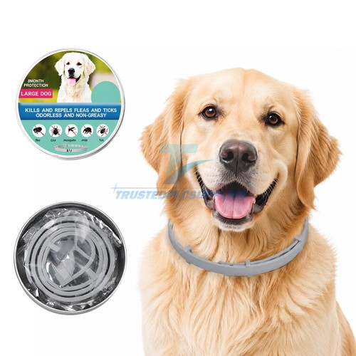 Dog collar flea and - collar, 8