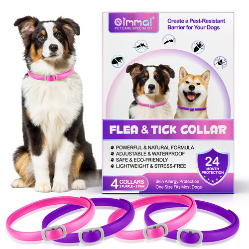 Dog flea tick collar - tick,