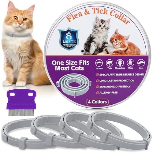 Cat collar flea - flea, tick