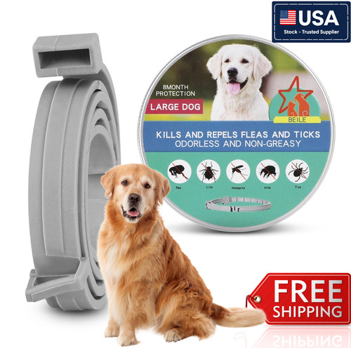 Dog collar flea and - collar, tick