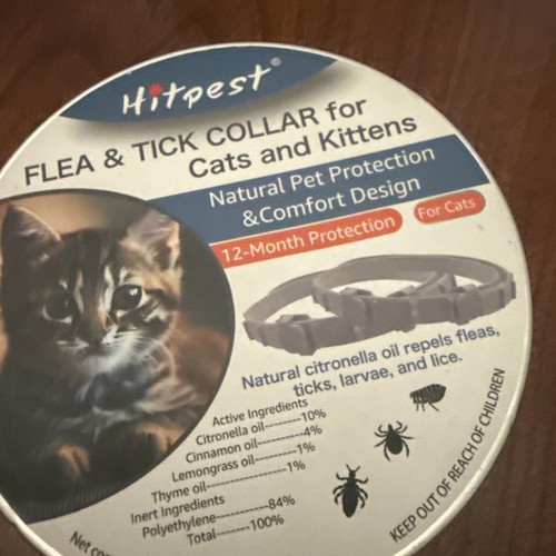 Colar cat collar flea - cat,