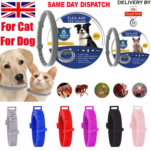 2pc new adjustable - anti, flea