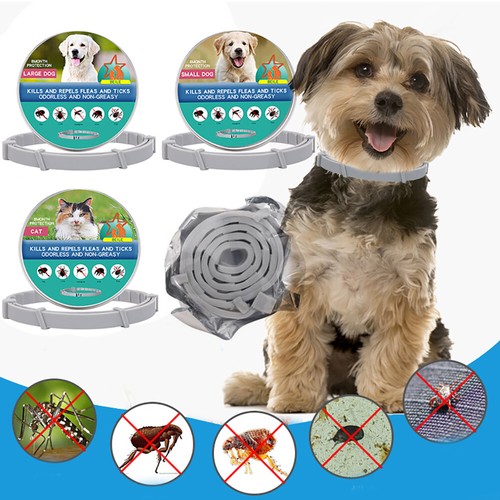 Pet collar flea tick large - collar,