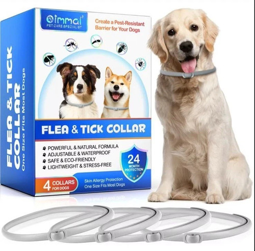 Dog flea tick - tick, collar