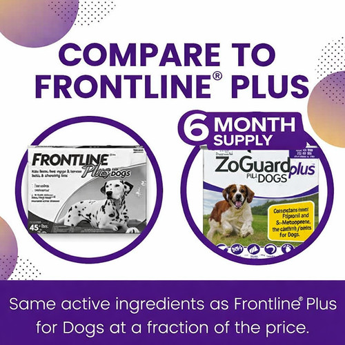 Zoguard plus preventative - zoguard,