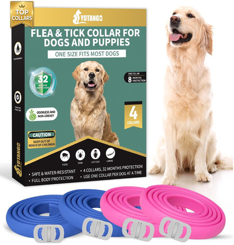 Yotango flea collar for - yotango,