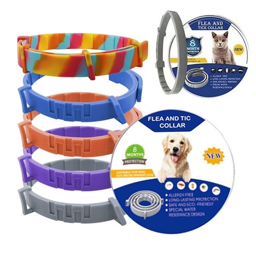 Month protection pet - month,