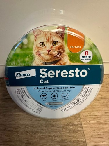 Seresto cat and kitten - cat,