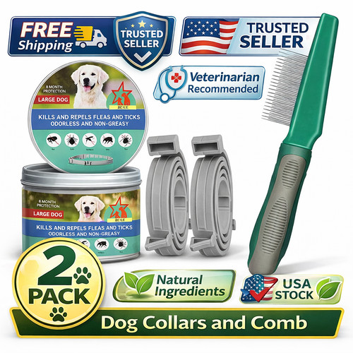 Pack dog flea tick collar - dog,