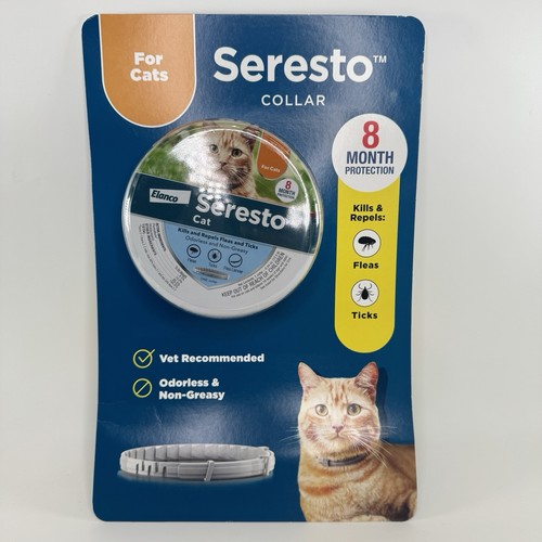 Seresto cat and kitten - and, flea