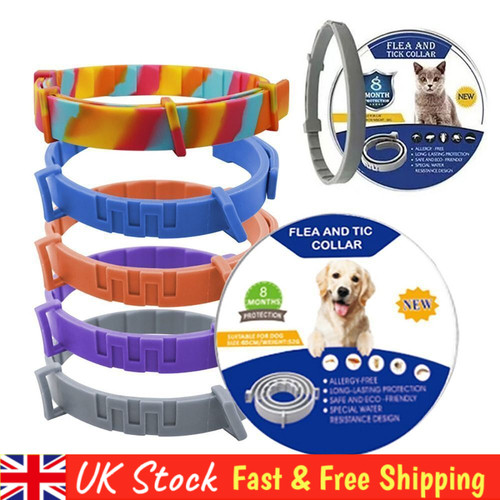 Month protection pet - month,
