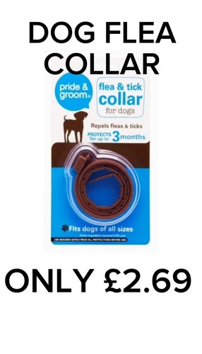 Dog flea tick collar - dog, |