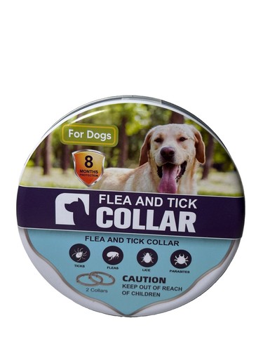 Pack large dog - dog, tick