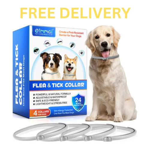 Pack immal dog flea and - immal, tick