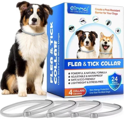 Dog flea tick - tick, treatment