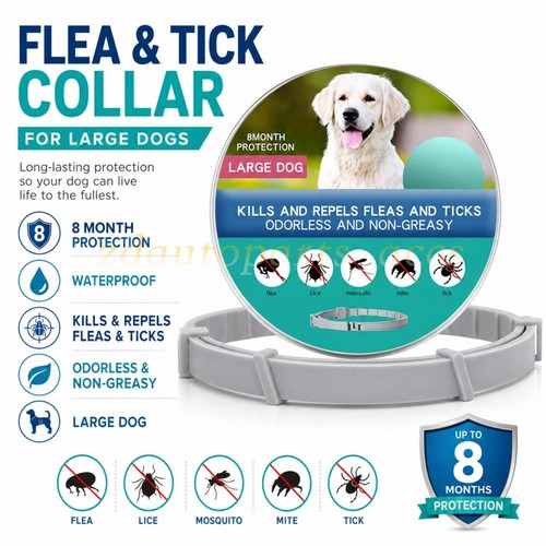 Dog collar flea and - and, 8