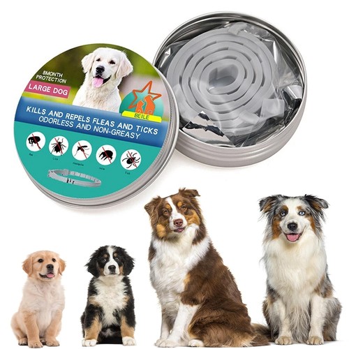 Pet collar flea tick large - pet,