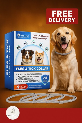 Dog flea collar treatment pet - flea,