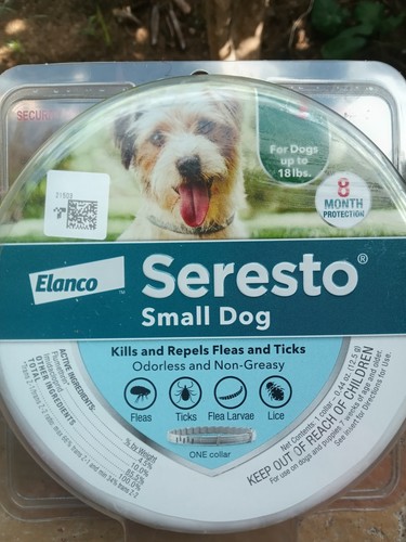 Seresto flea and tick collar - flea,