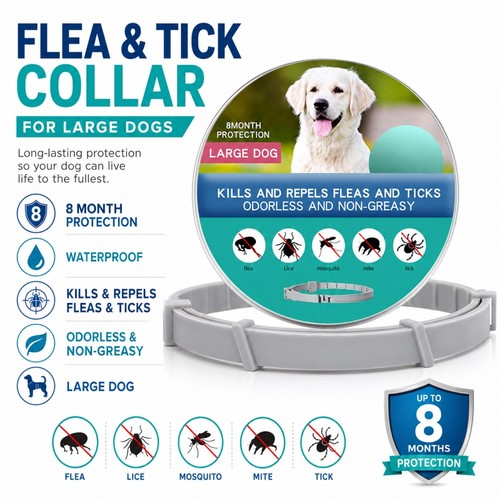 Dog collar flea and tick - dog,