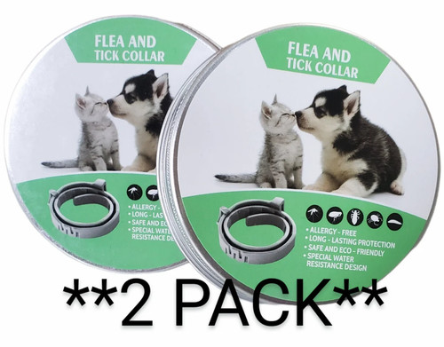 Pack small cat - cat, dog