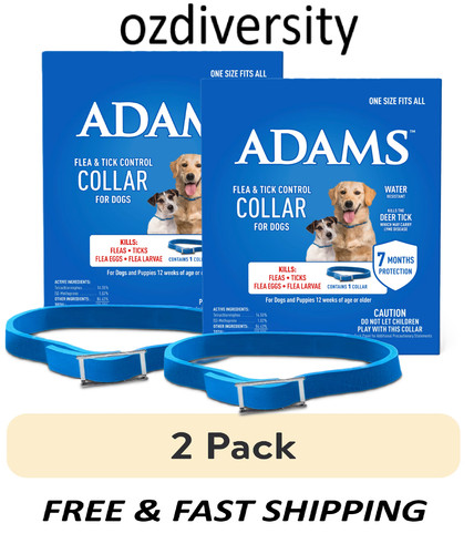 Flea tick control - tick,