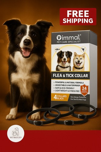 Dog flea collar - flea, pet