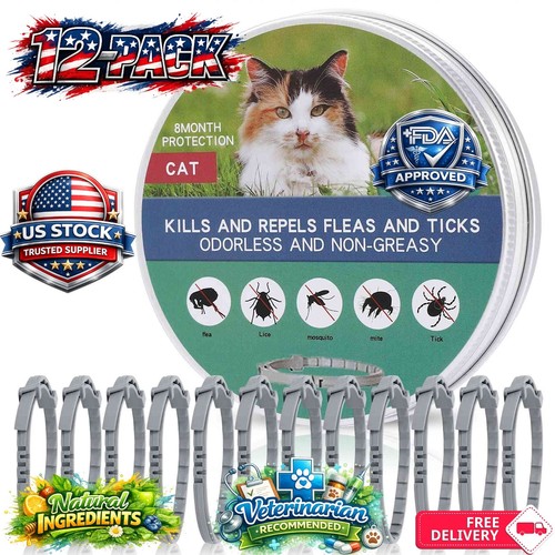 Pack cat collar flea and - 12-pack,