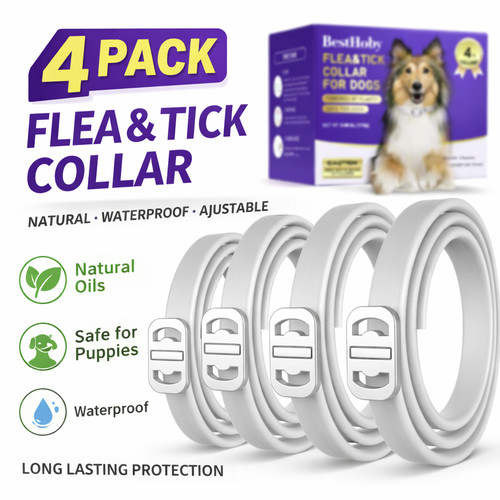 Pack dog flea tick collar - dog, &