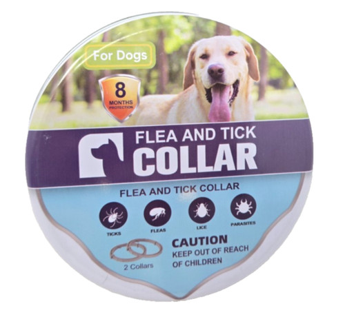 Large dog flea - &, tick