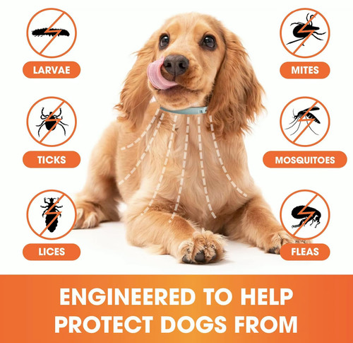 Flea tick collar - flea,