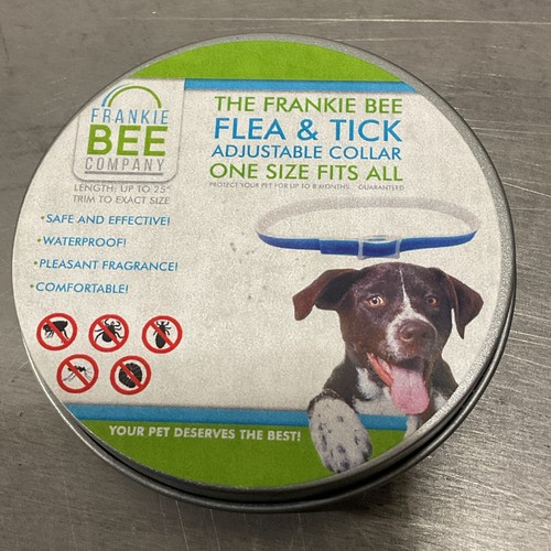 The frankie bee - frankie, flea