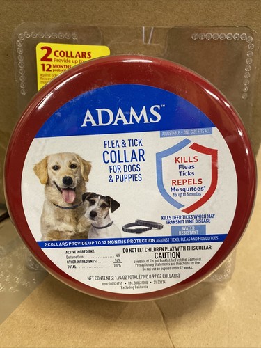 Adams flea and - adams,
