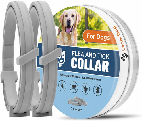 Dog collar flea and - dog,