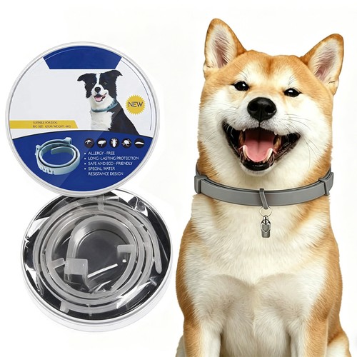 Dog collar flea and - us, 8