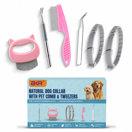 Dog flea and tick - flea,