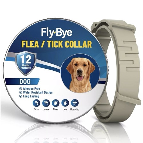 Dogs flea tick collar - tick, one