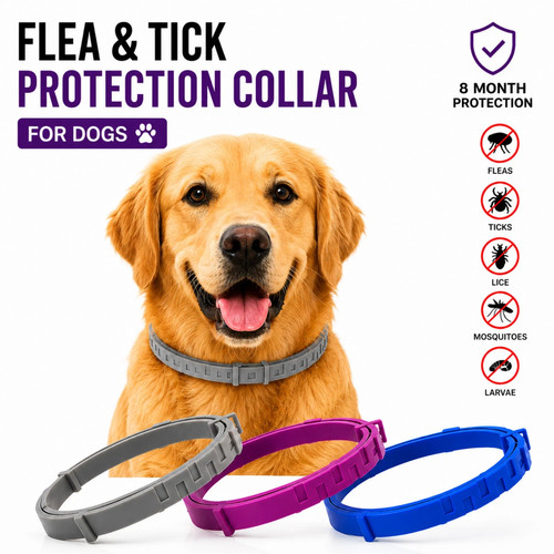 Dog flea tick - dog,
