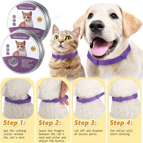 Month protection pet flea - month,