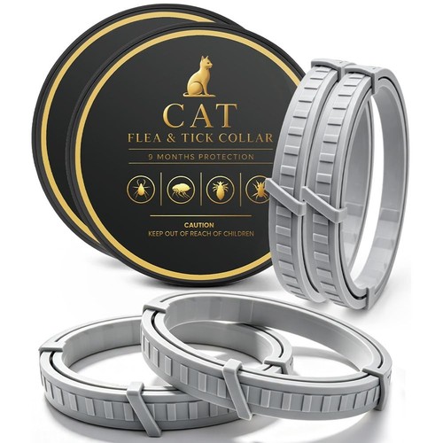 Cat and kitten flea tick - kitten,