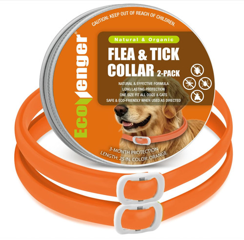 Pack dog flea - flea, collar