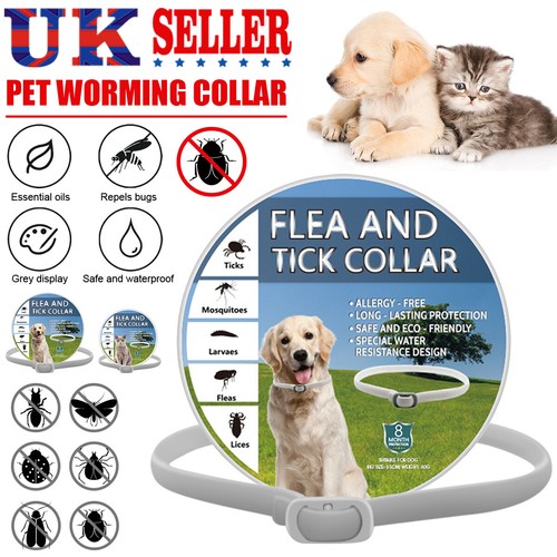 New adjustable anti flea - flea, and