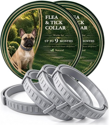 Dog collar flea and tick - dog,