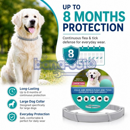 Dog collar flea and - collar,