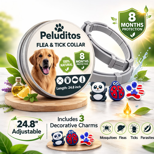 Pack dog flea - dog, collar