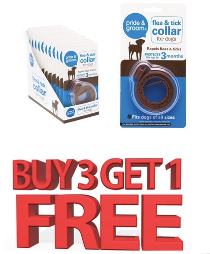 Dog flea tick - flea, |