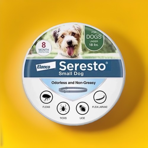Seresto flea tick - flea,